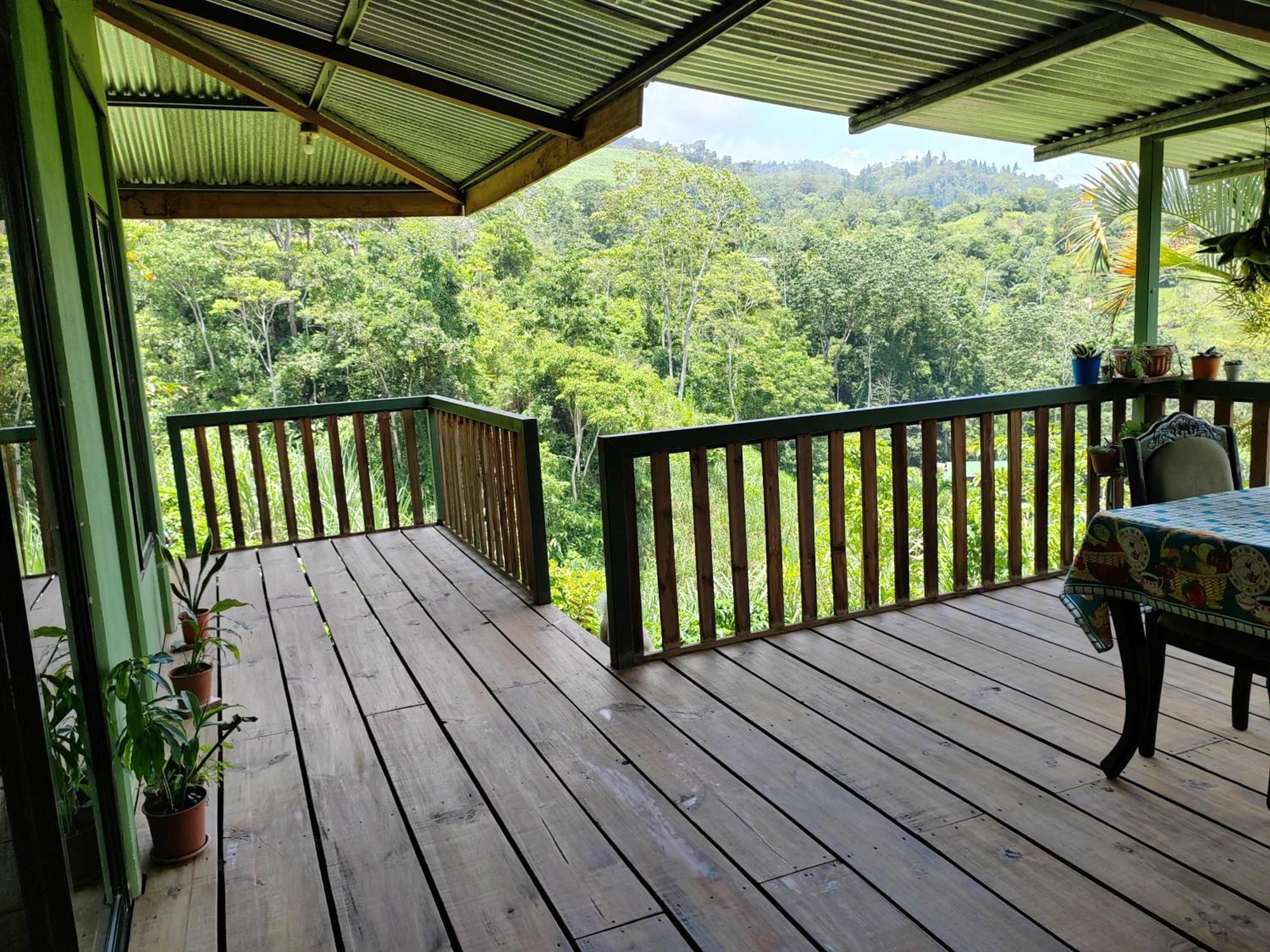 Bella Vista Guest House Турриальба Экстерьер фото